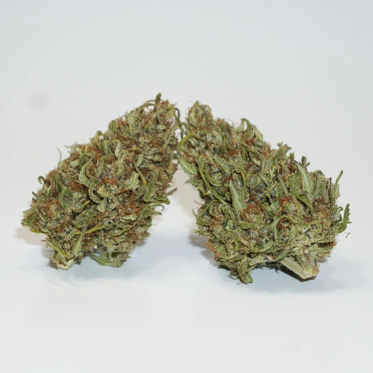 Farm Cut | Emerald Spirit Botanicals | Equinox | Flower | 7.5g