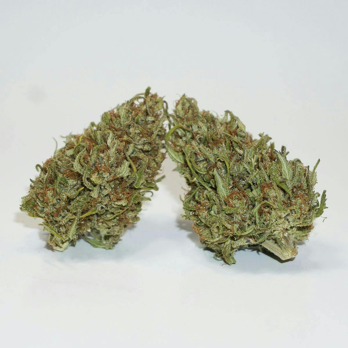Farm Cut: X Emerald Spirit Botanicals