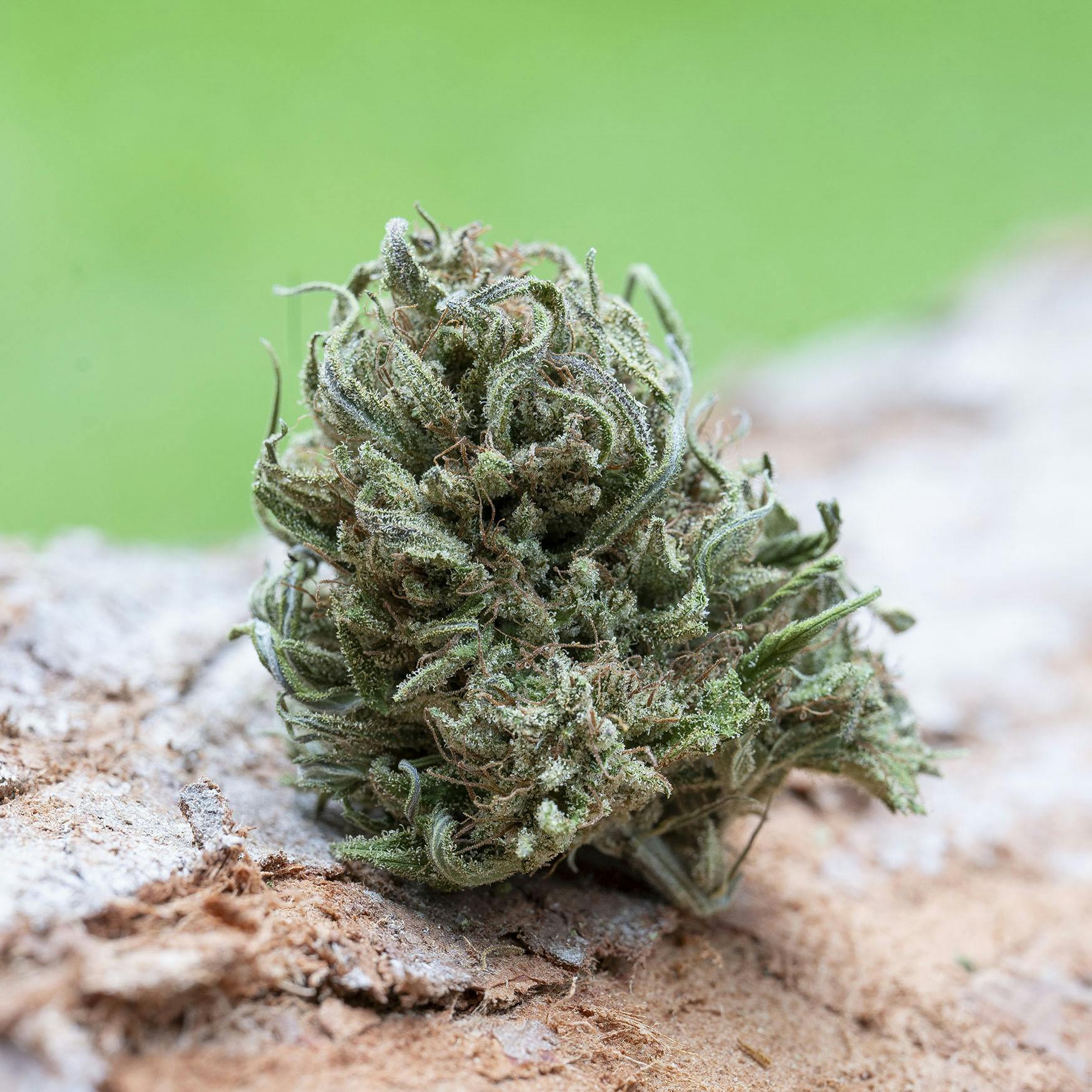 Farm Cut — Emerald Spirit Botanicals