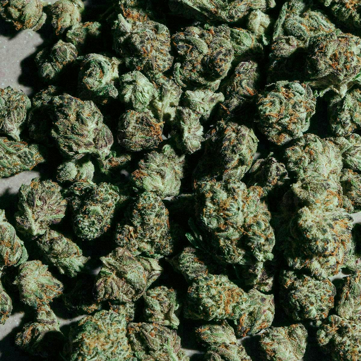 Cinnamon Milk | Big Buds | 14g