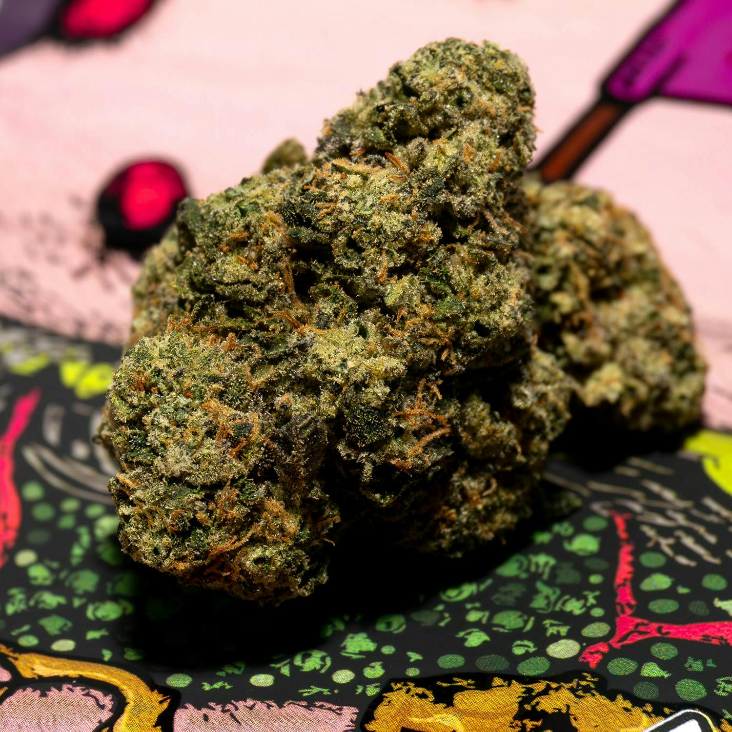 TEDS BUDZ — Nasty Patty