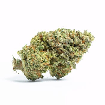 lolo — Zeus Og