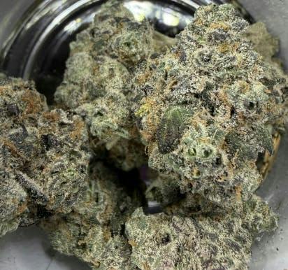 White Dream | Big Buds | 7g