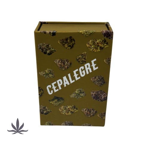 Cepalegre | Pablo's Driver | Small Buds | 1g