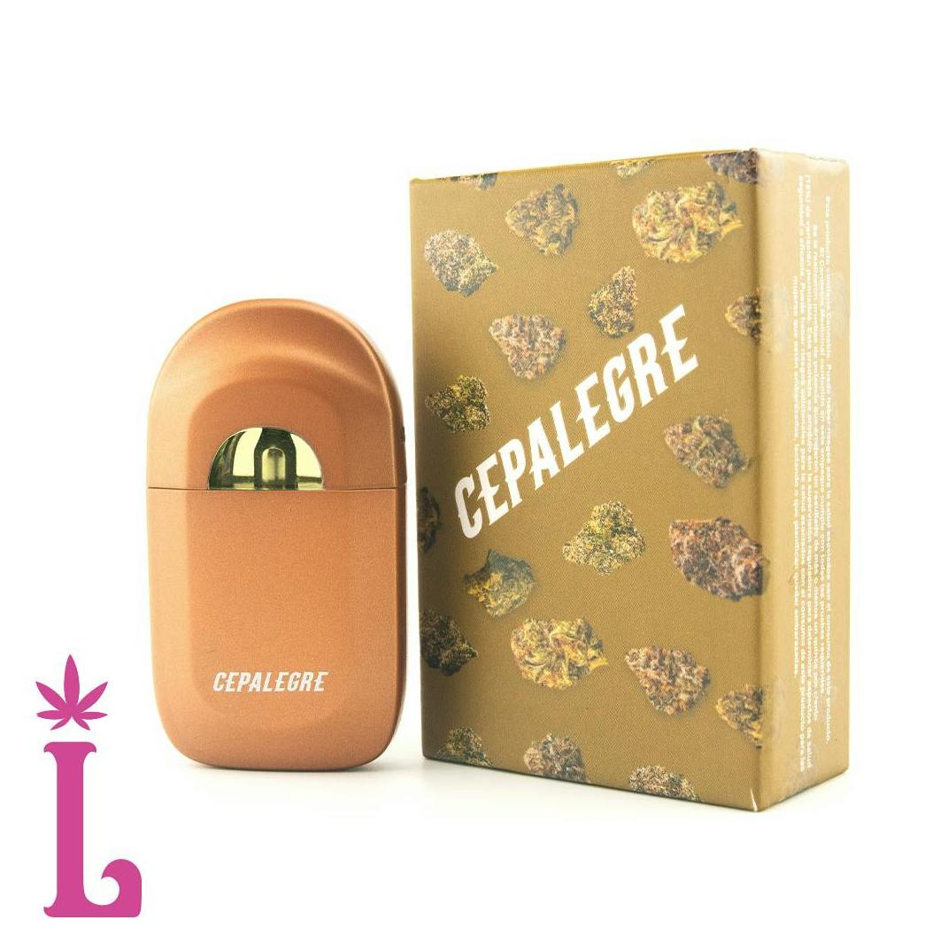 Dream Factory Disposable