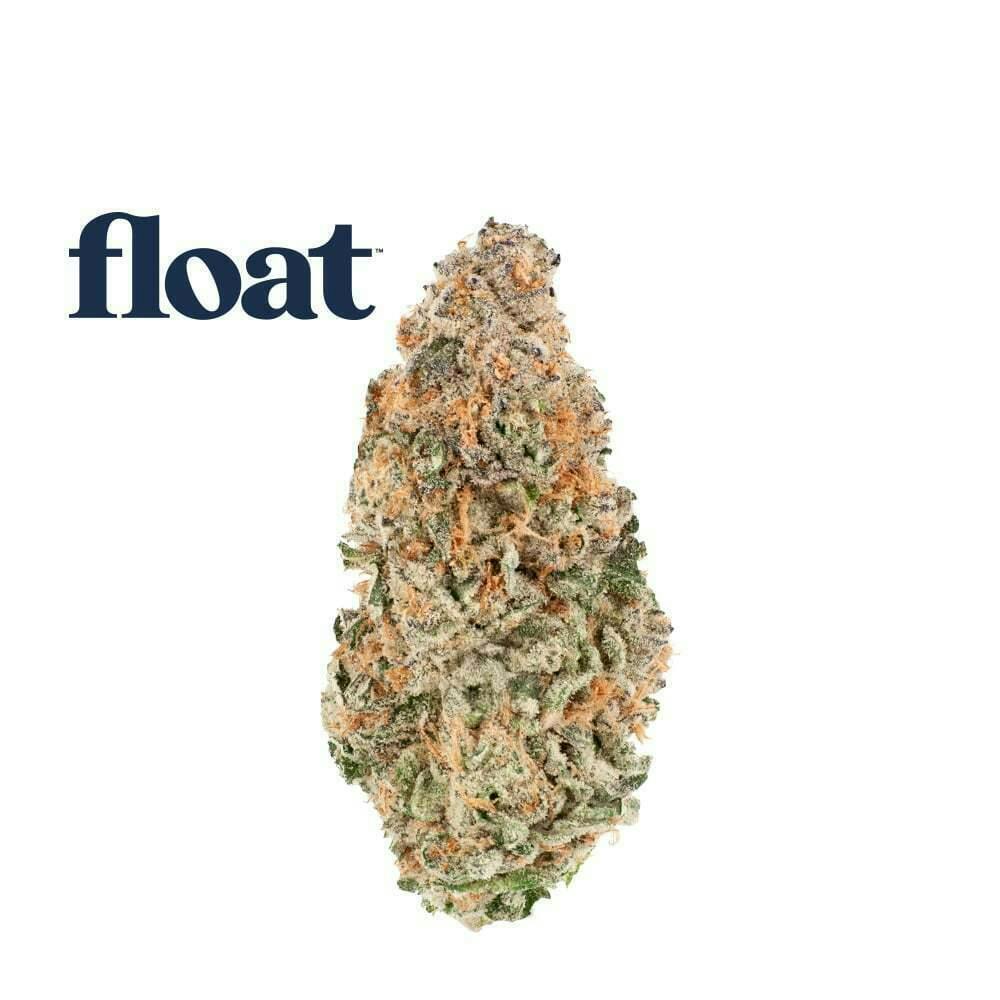 Float | Mule Fuel | Big Buds | 3.5g by Float