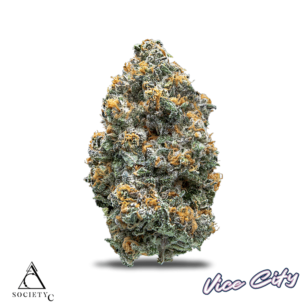 Society C | Vice City | Big Buds | 1g