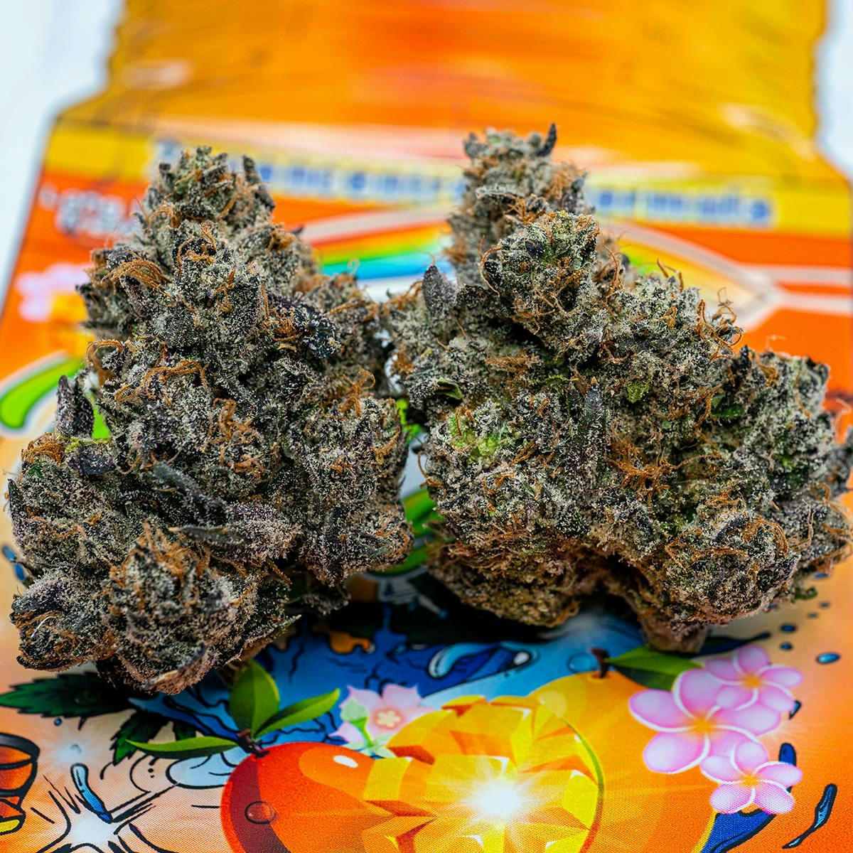 TEDS BUDZ: Mango Breeze