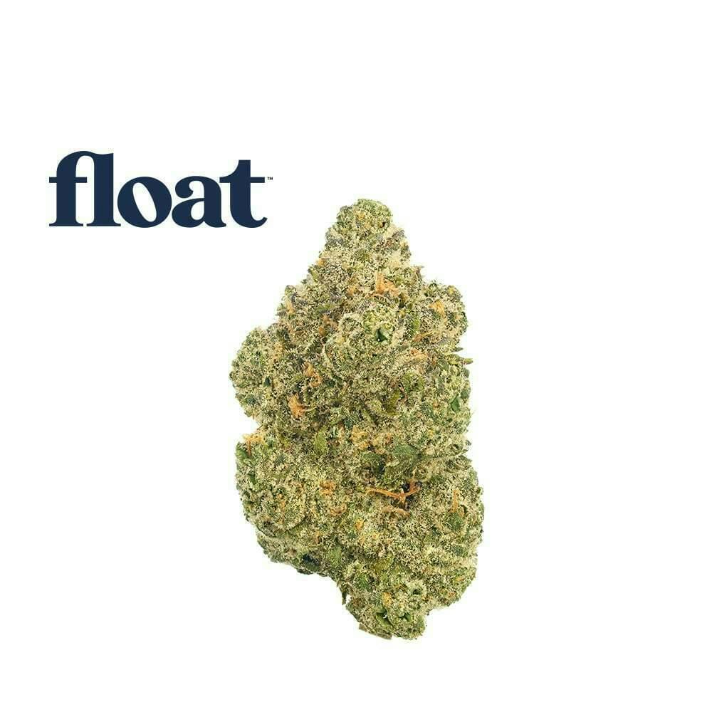 Float | Z Power | Big Buds | 3.5g by Float