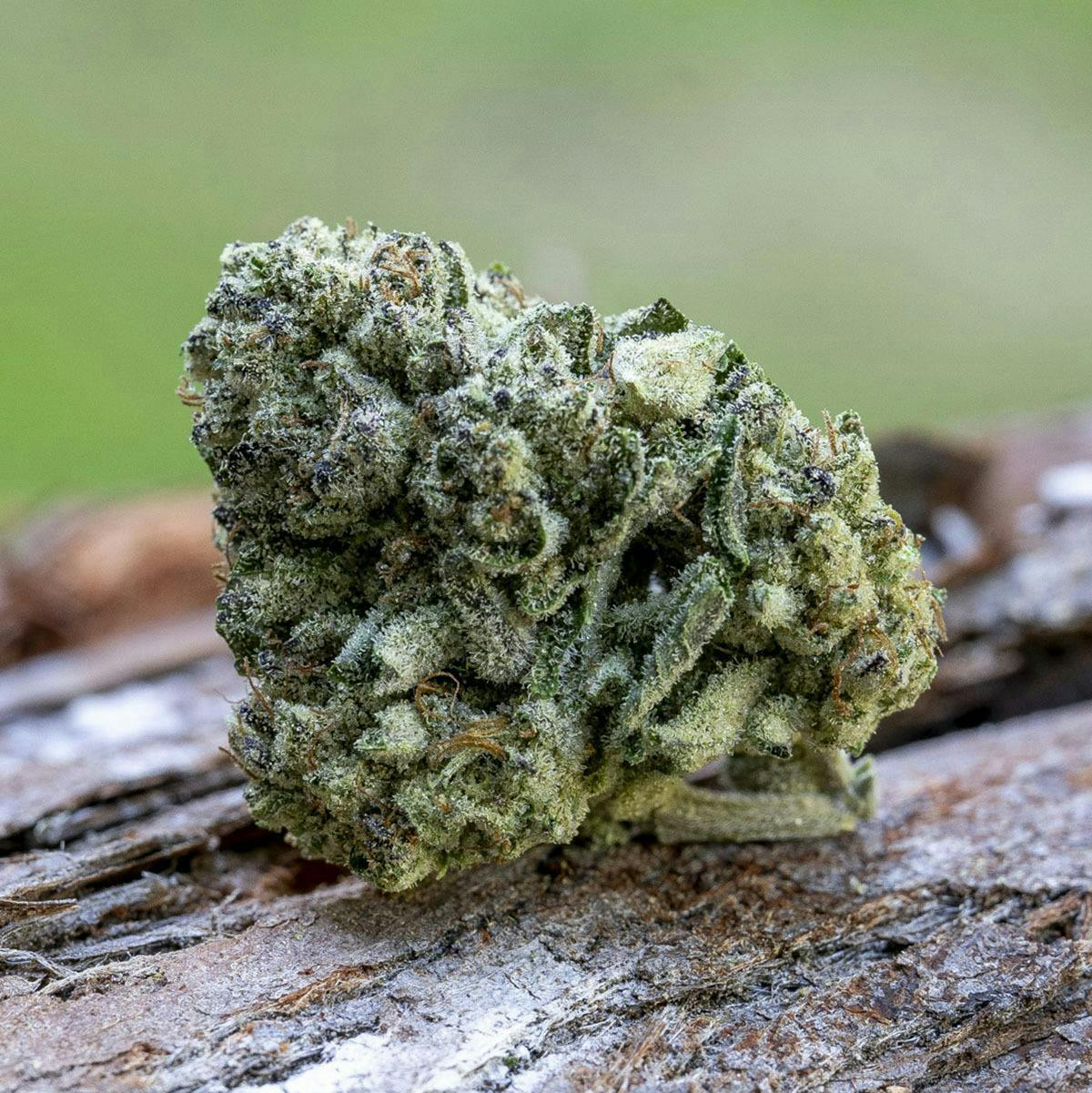 Farm Cut: X Happy Day Farms