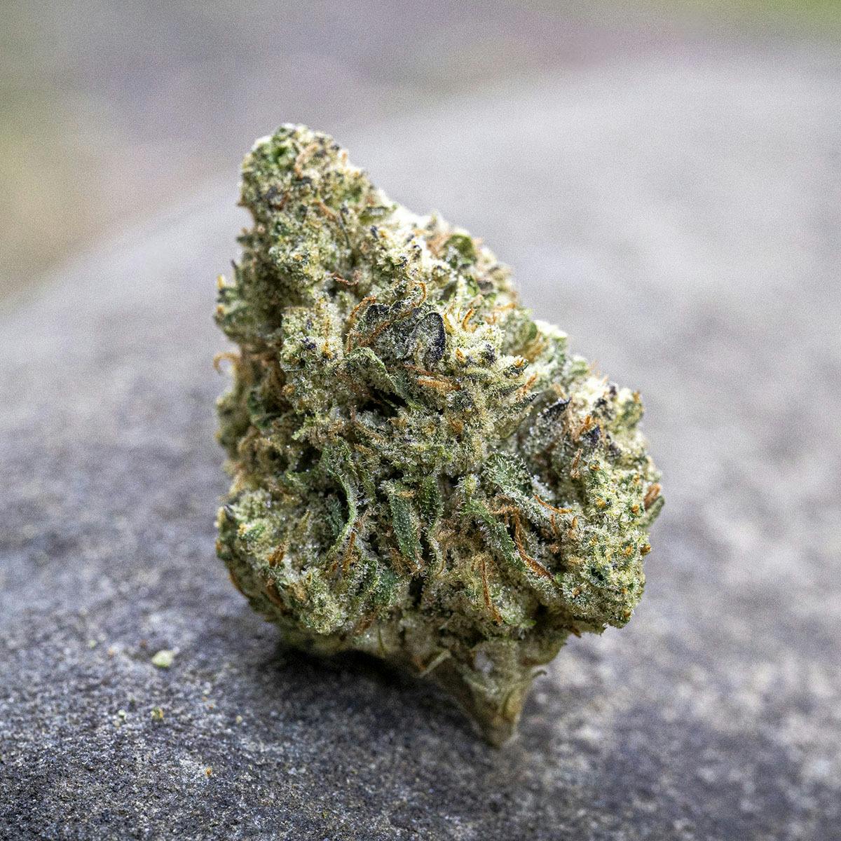 Farm Cut — Governmint Oasis