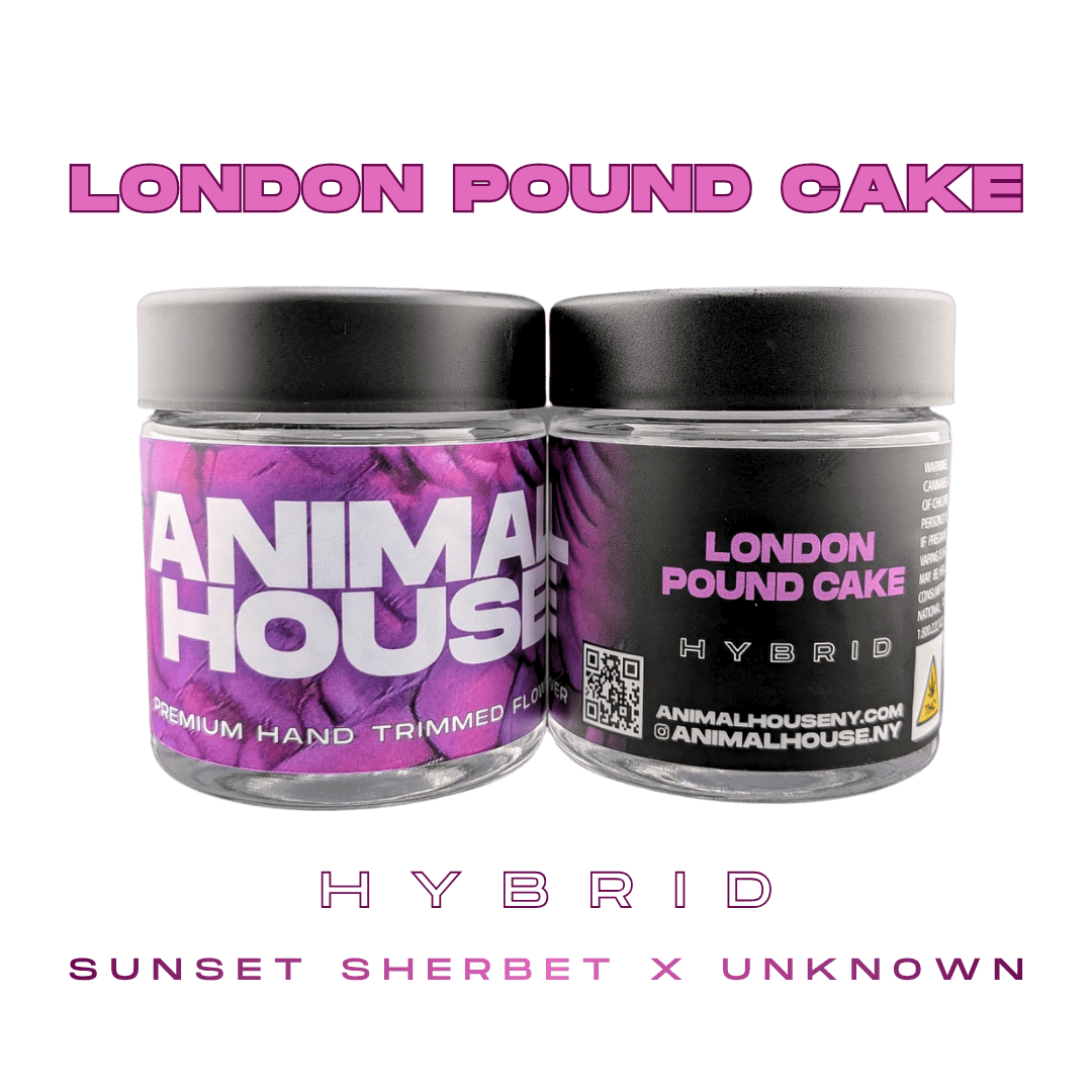 Animal House | London Pound Cake | Big Buds | 3.5g by Animal House