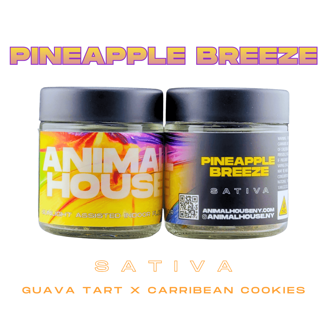 Animal House | Pineapple Breeze | Big Buds | 3.5g by Animal House