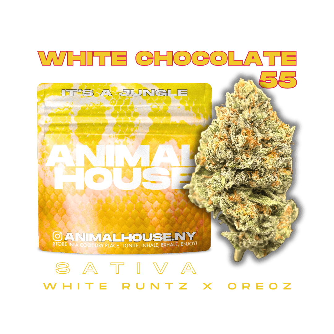 Animal House | White Chocolate 55 | Big Buds | 3.5g by Animal House
