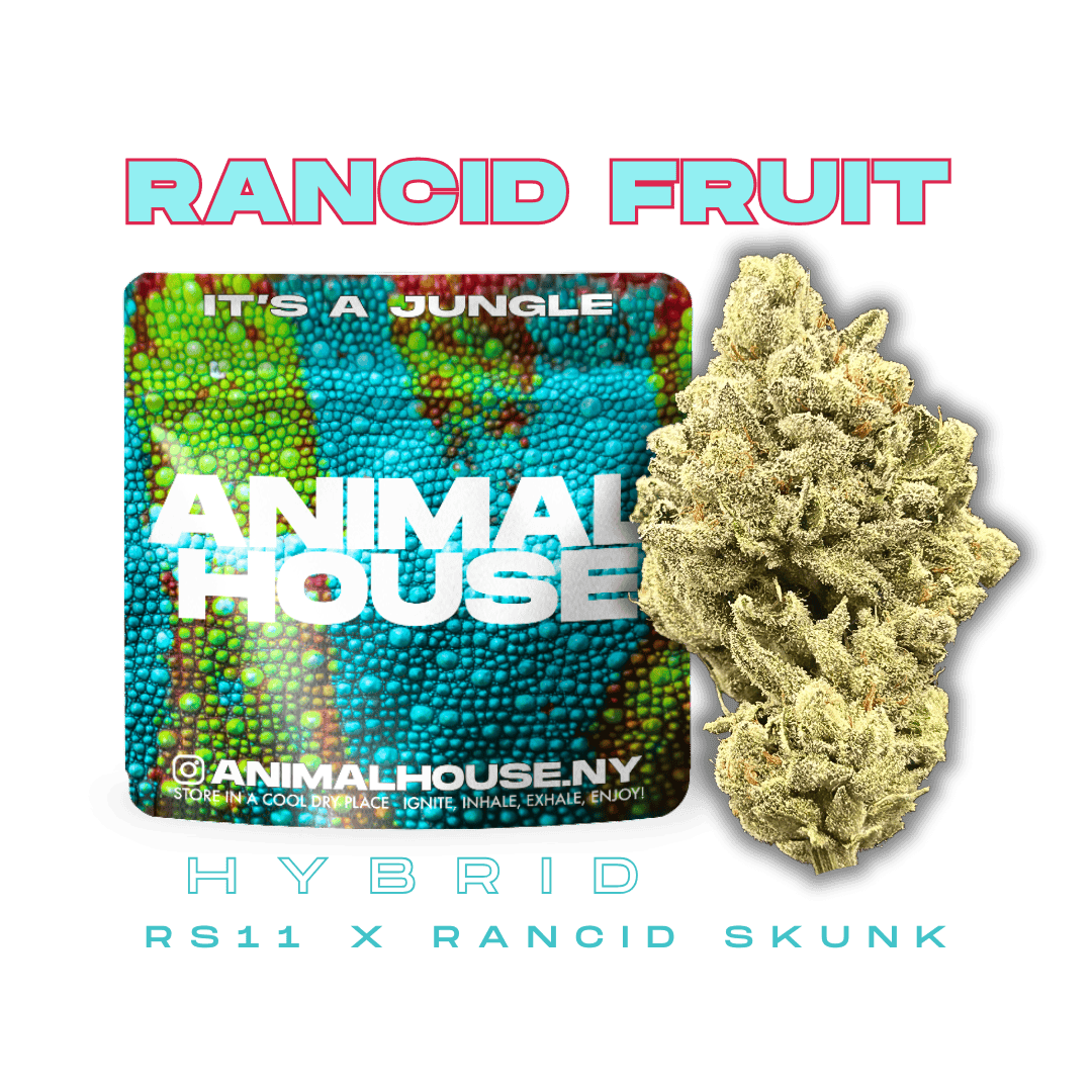 Animal House | Rancid Fruit | Big Buds | 3.5g by Animal House