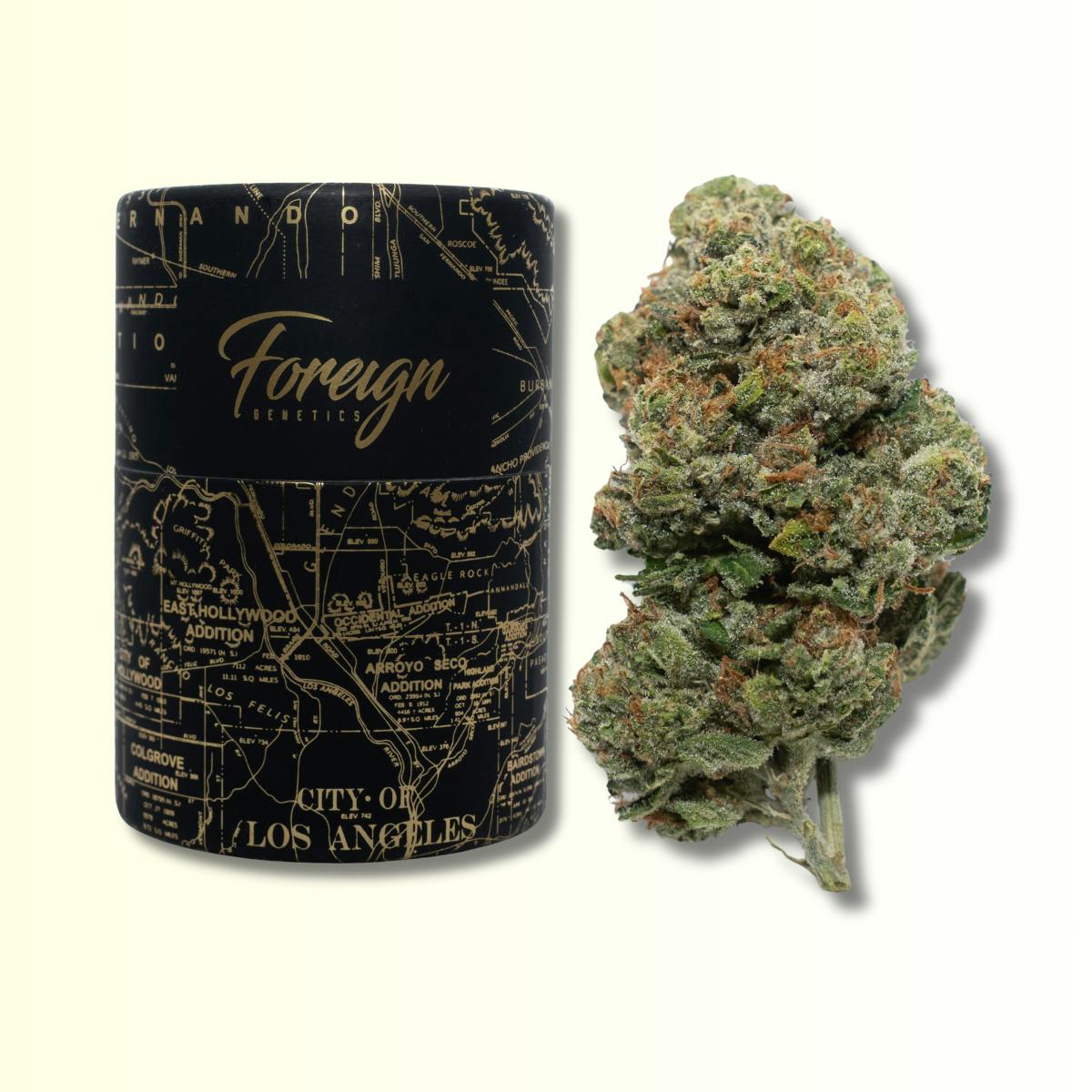 Foreign Genetics Inc.: SFV OG