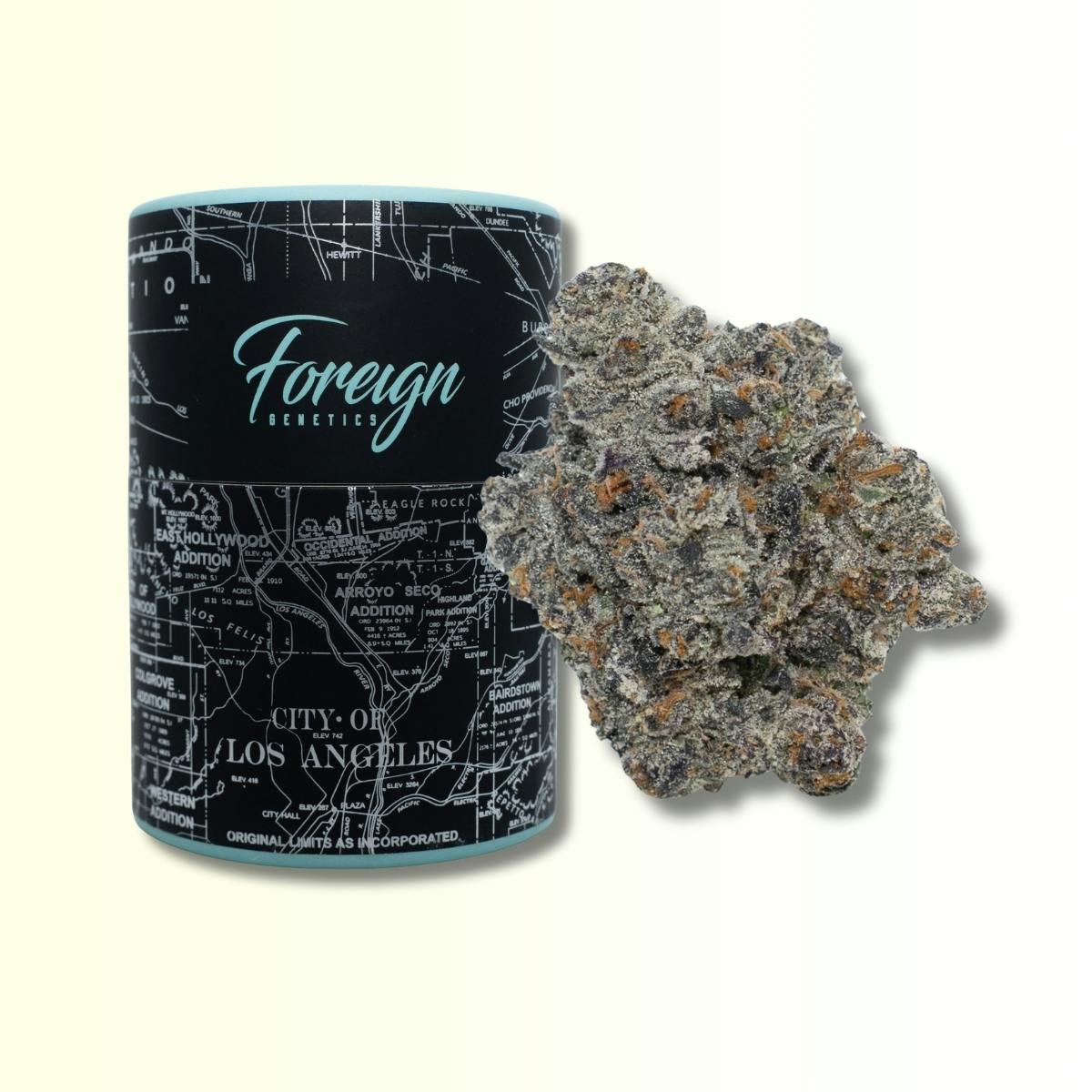 Foreign Genetics Inc.: Mochi