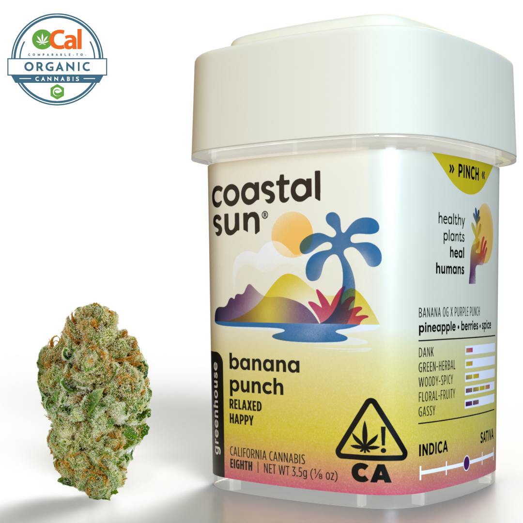 Coastal Sun — Banana Punch