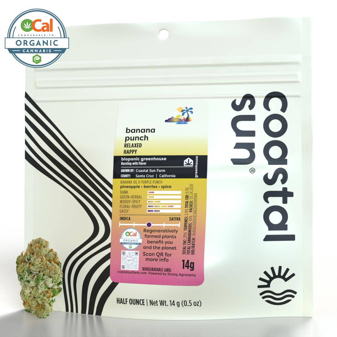 Coastal Sun — Banana Punch