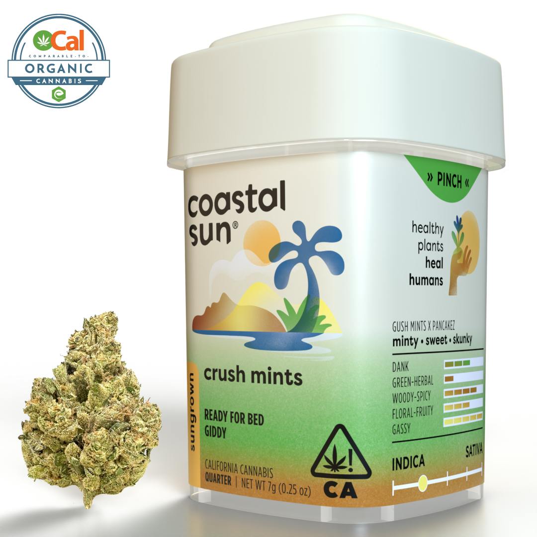 Coastal Sun — Crush Mints
