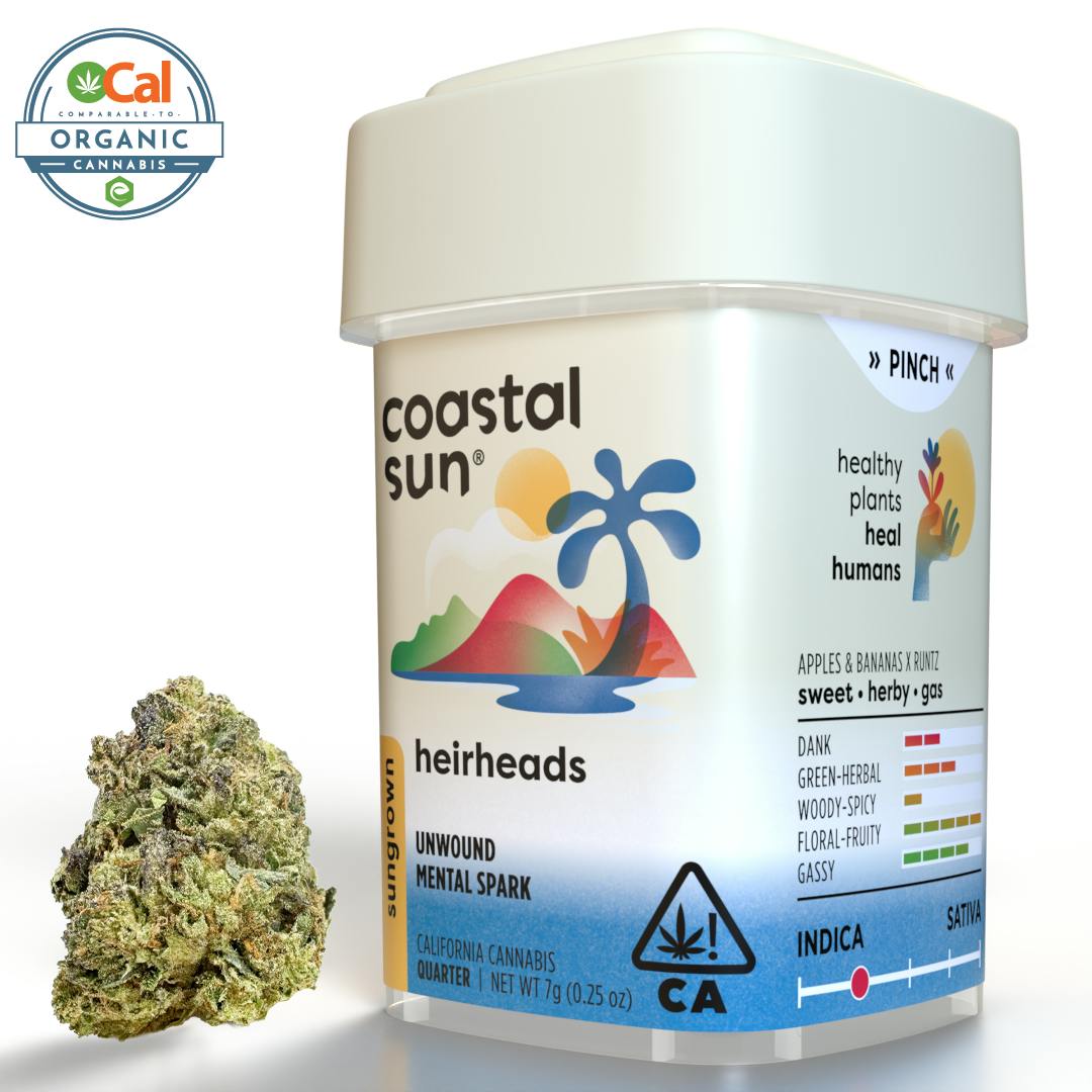 Coastal Sun — Heir Heads