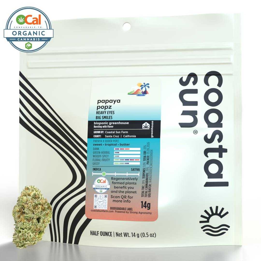 Coastal Sun — Papaya Popz