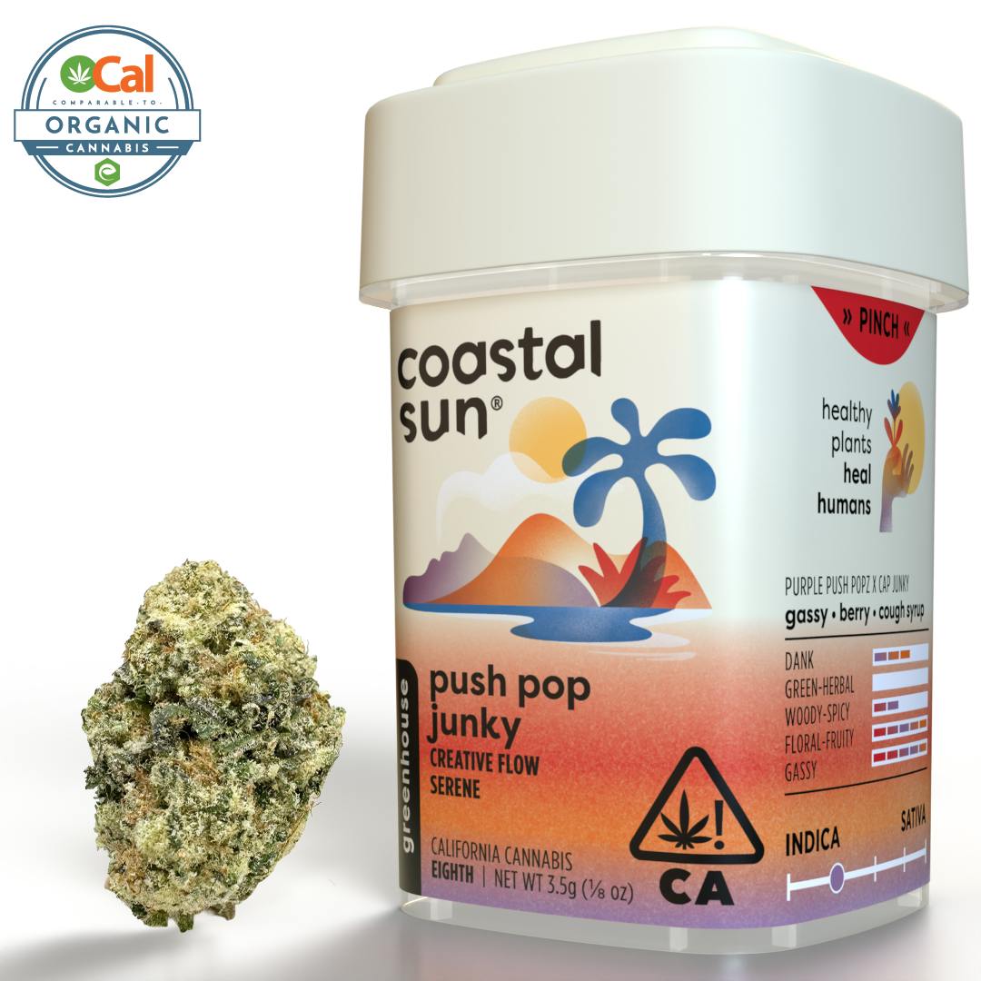 Coastal Sun: Push Pop Junky