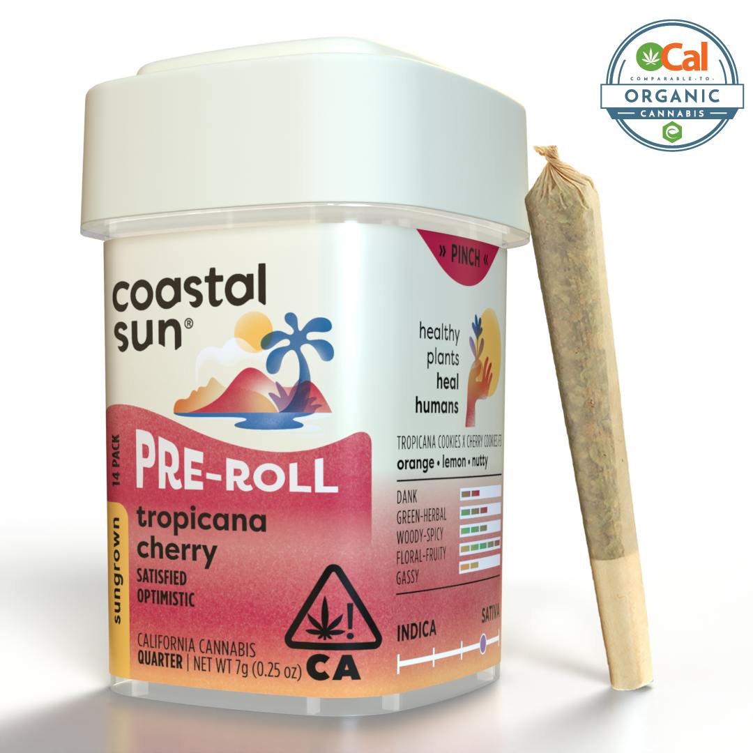 Coastal Sun | Tropicana Cherry | Mini Joints | 0.5g | 14pk