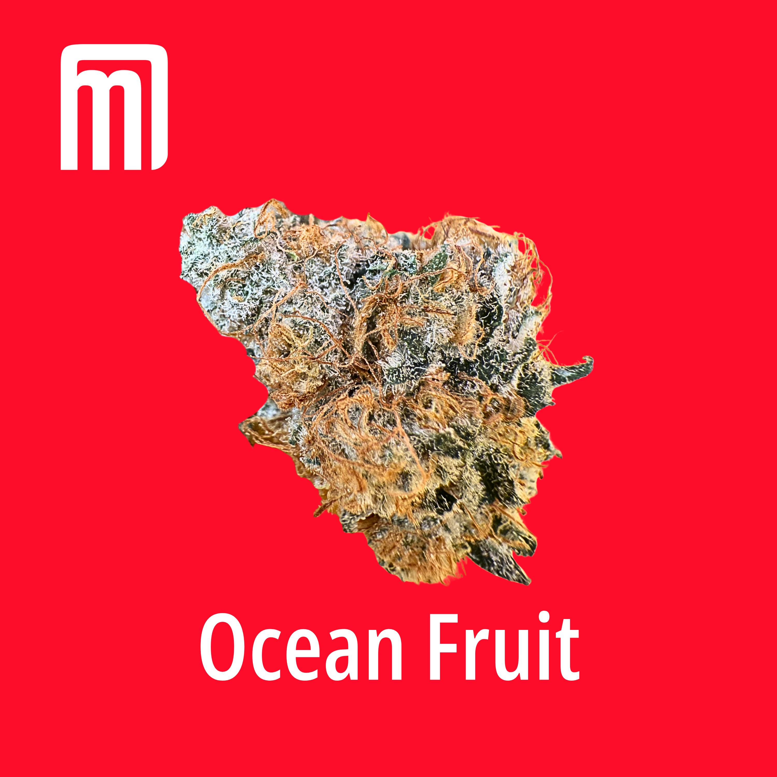 Ocean Fruit