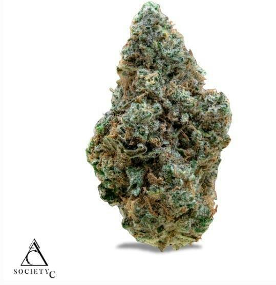 Society C | Amoretto Sour | Big Buds | 1g by Society C