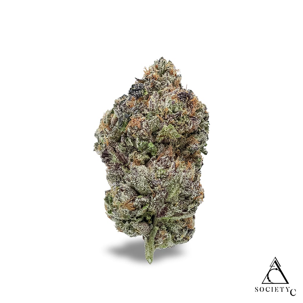 Jealous Cheesecake | Buds | 2g by Society C
