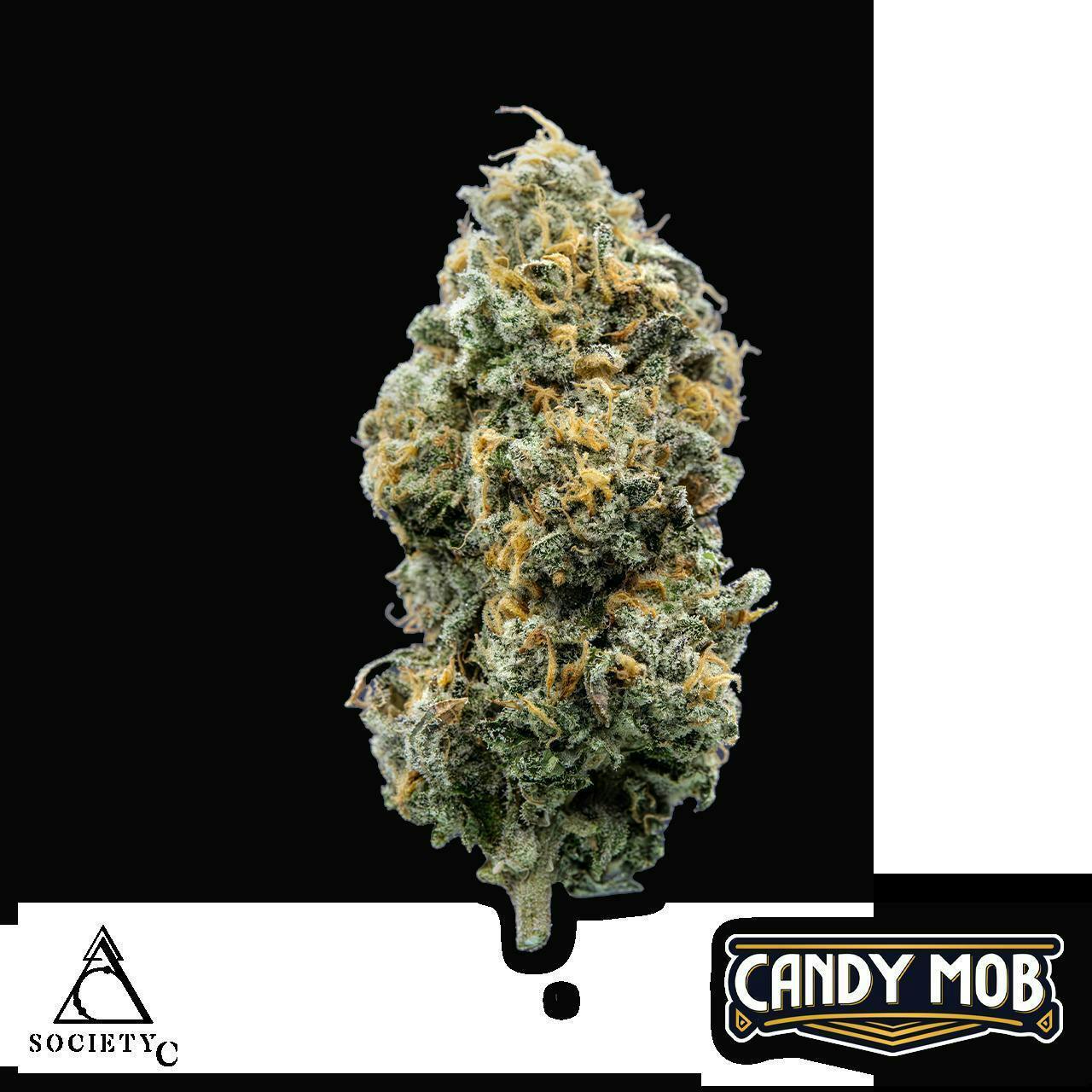 Candy Mob | Buds | 1g by Society C