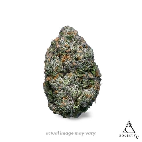 Society C | Highlighter | Flower by Society C