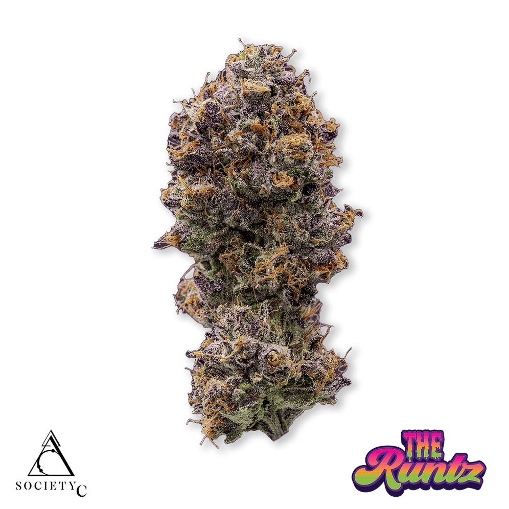 The Runtz | Buds | 7g by Society C