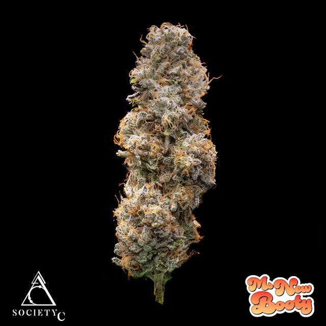 Society C | Ms. New Booty | Big Buds | 1g