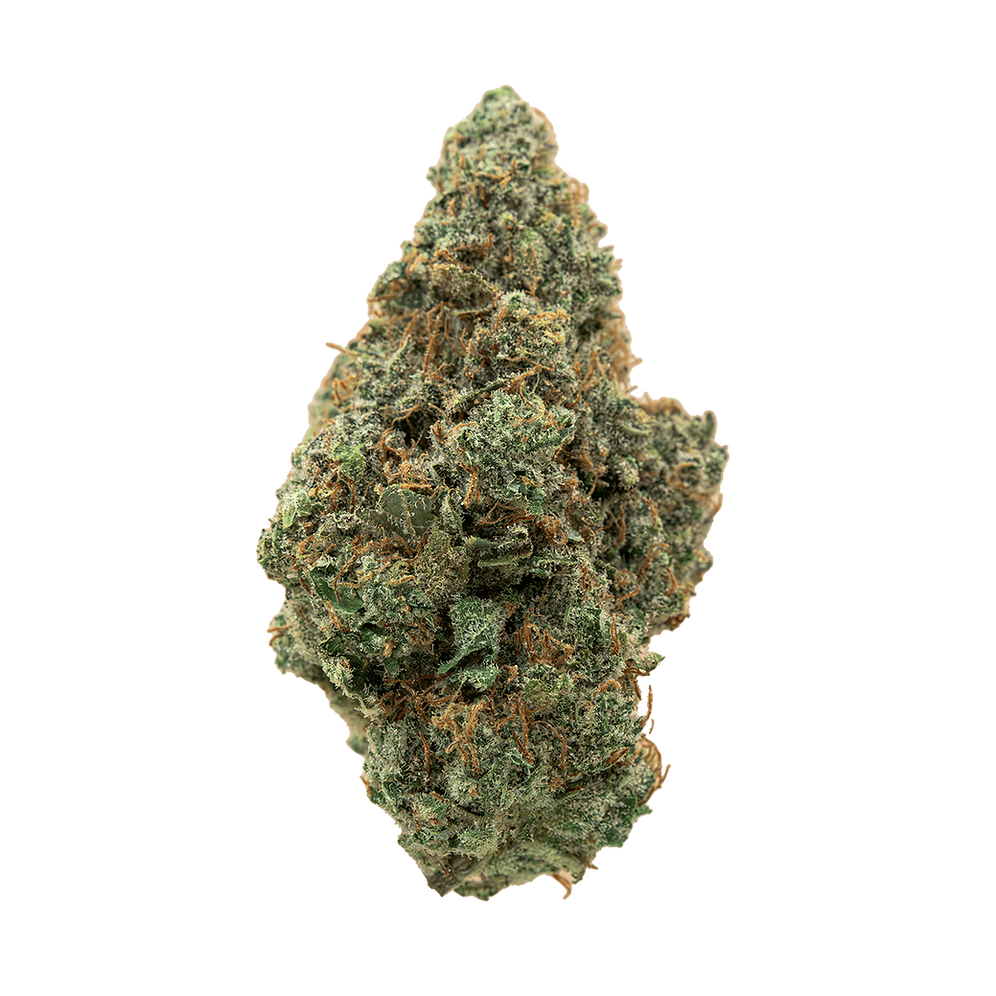 Society C | Headband | Big Buds | 1g