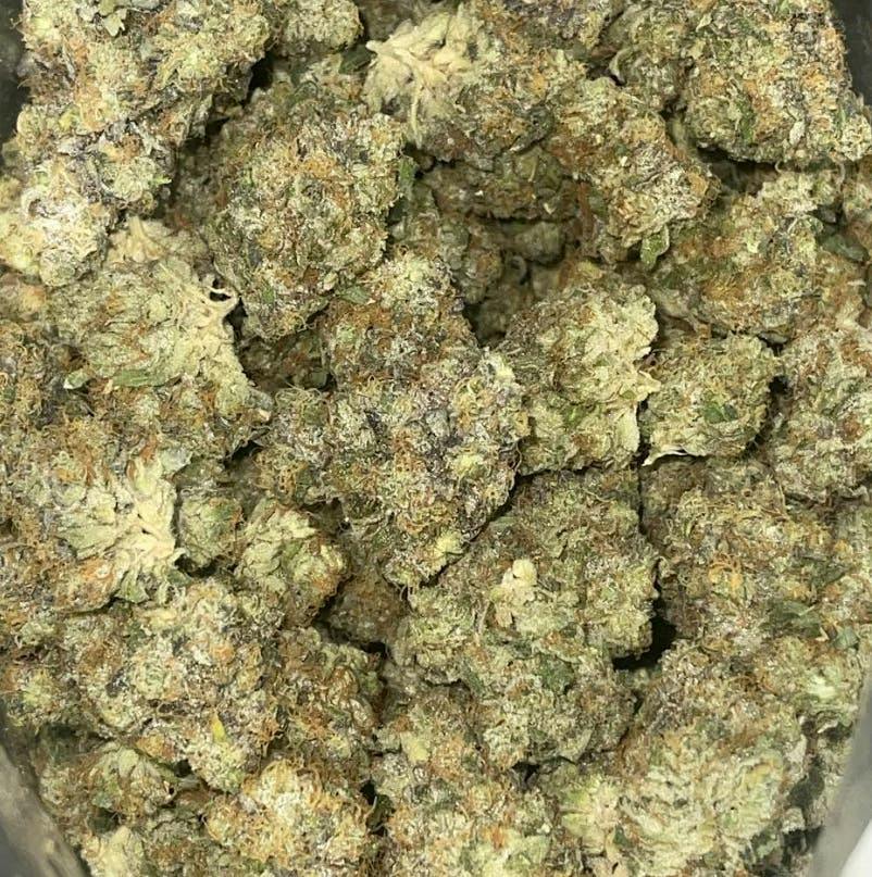 Gastro Pop | Buds | 14g by Society C