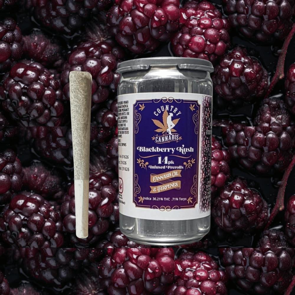 Blackberry Kush | Infused Preroll Joint | 14 pk | 14g