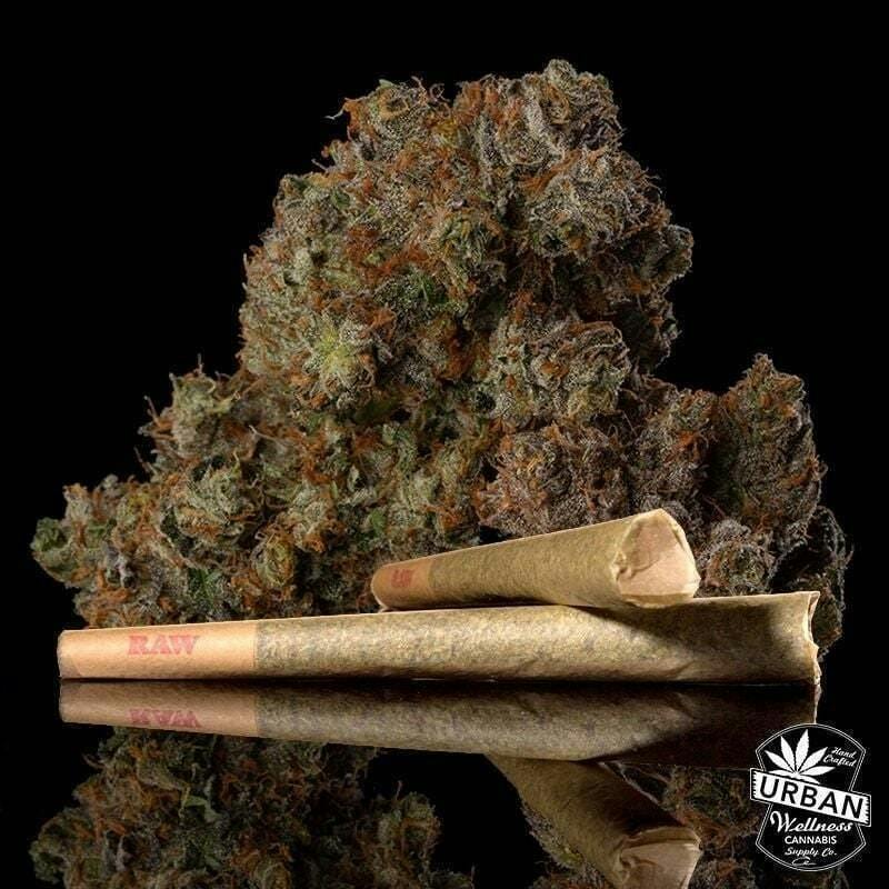Urban Wellness | Hood Party | Pre Rolls | .5g