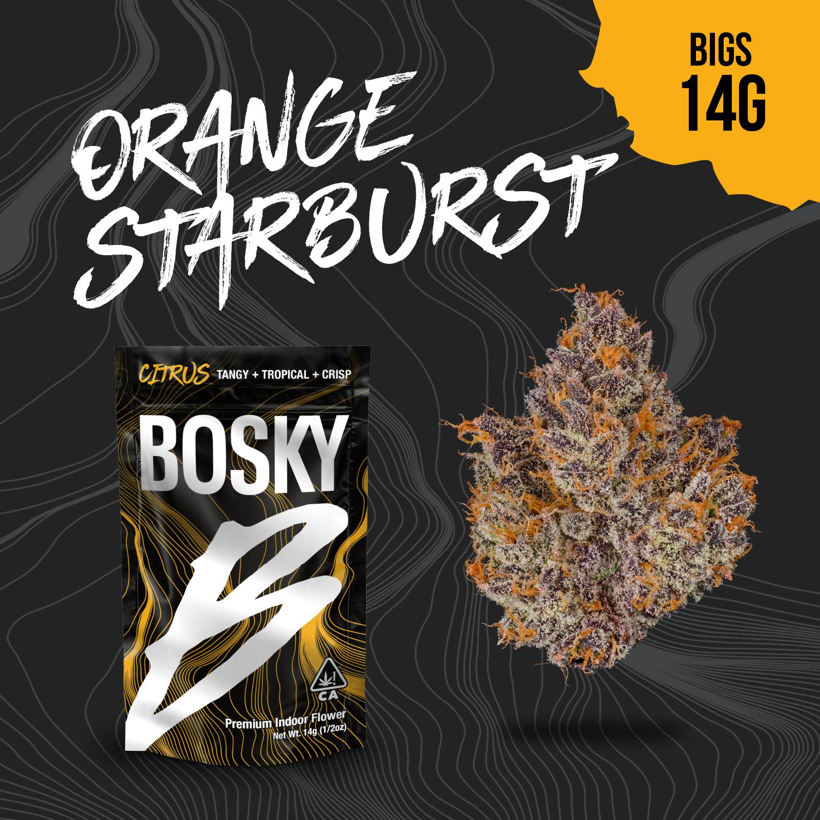 Bosky Genetics: Orange Starburst
