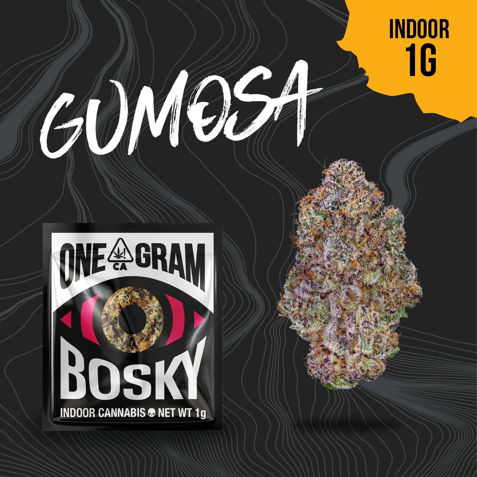 Bosky Genetics: Cherry Gumosa