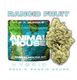 Animal House | Rancid Fruit | Smalls | 5g by Animal House