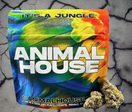 Animal House | Tropicana Trip | Flower | 5g by Animal House