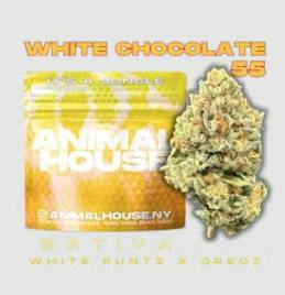 Animal House | White Chocolate 55 | Smalls | 5g by Animal House