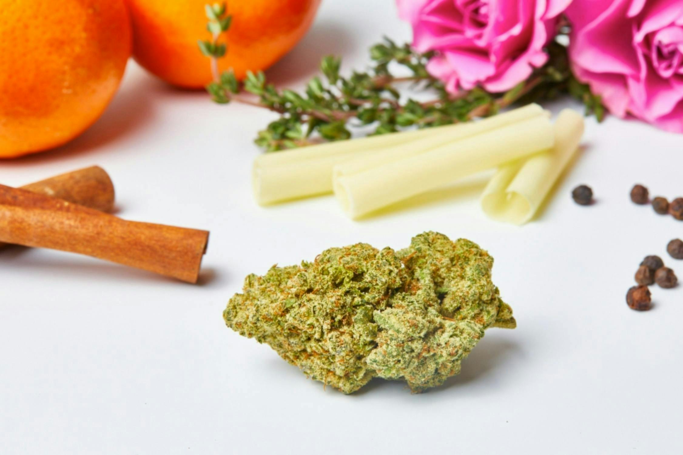 Black Marshmallow Flower