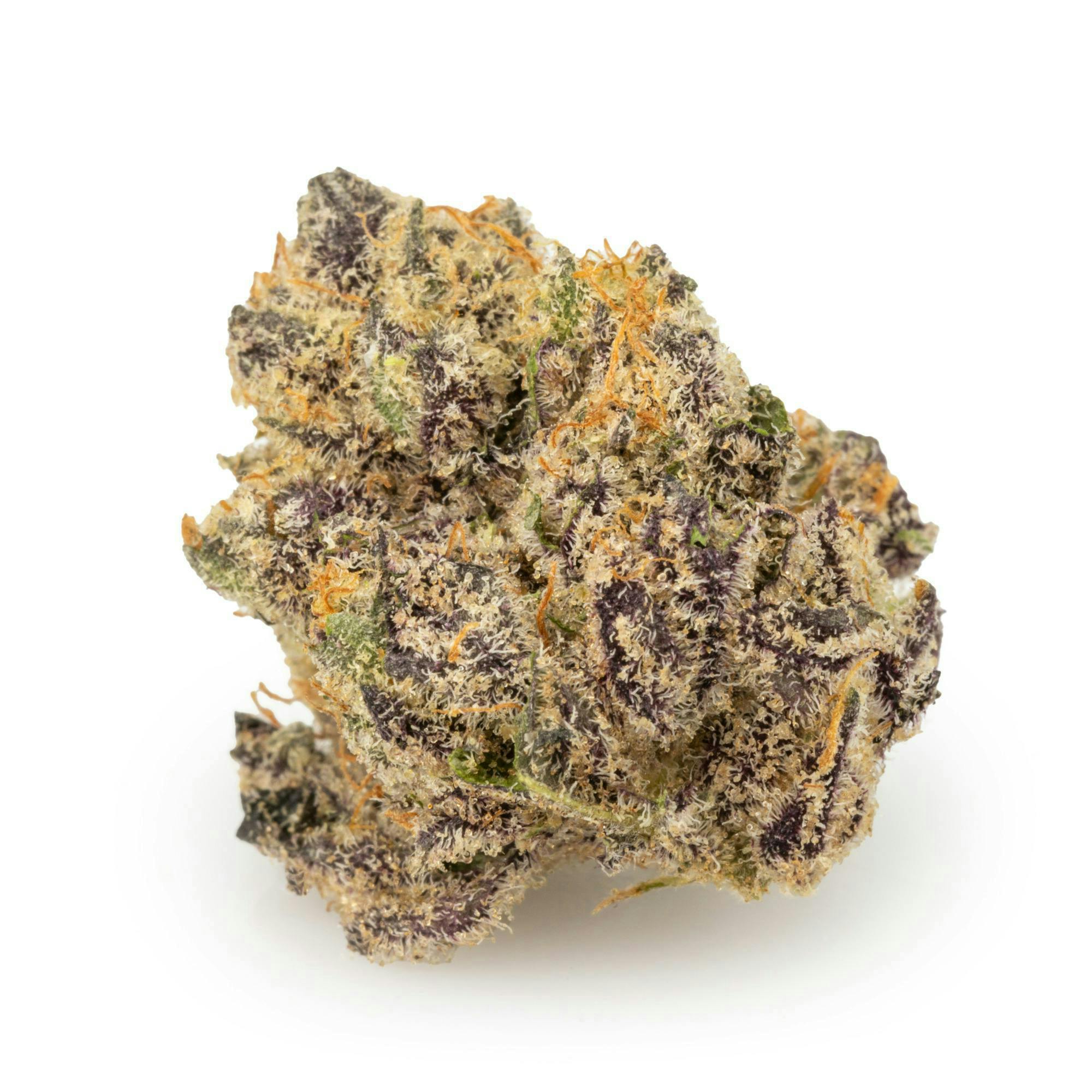Mojo | Jessica Rabbit | Big Buds | 14g by Mojo