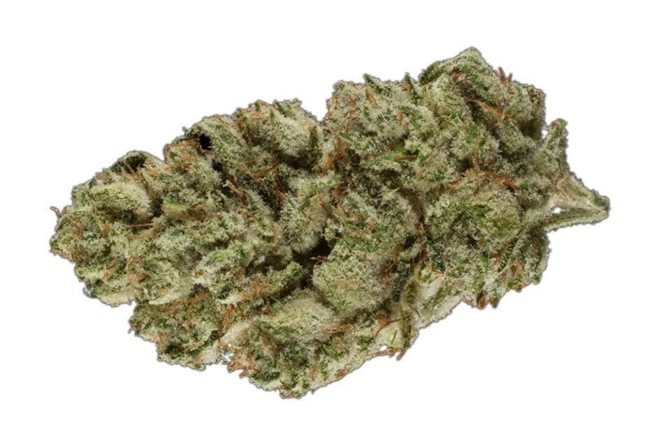 Mojo | Side Peace | Big Buds | 14g by Mojo