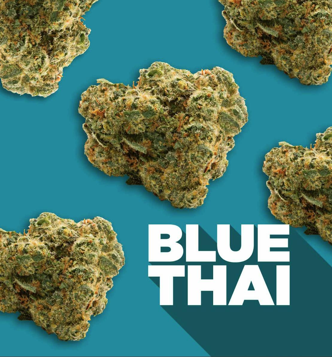 Spinach | Blue Thai | Big Buds | 7g