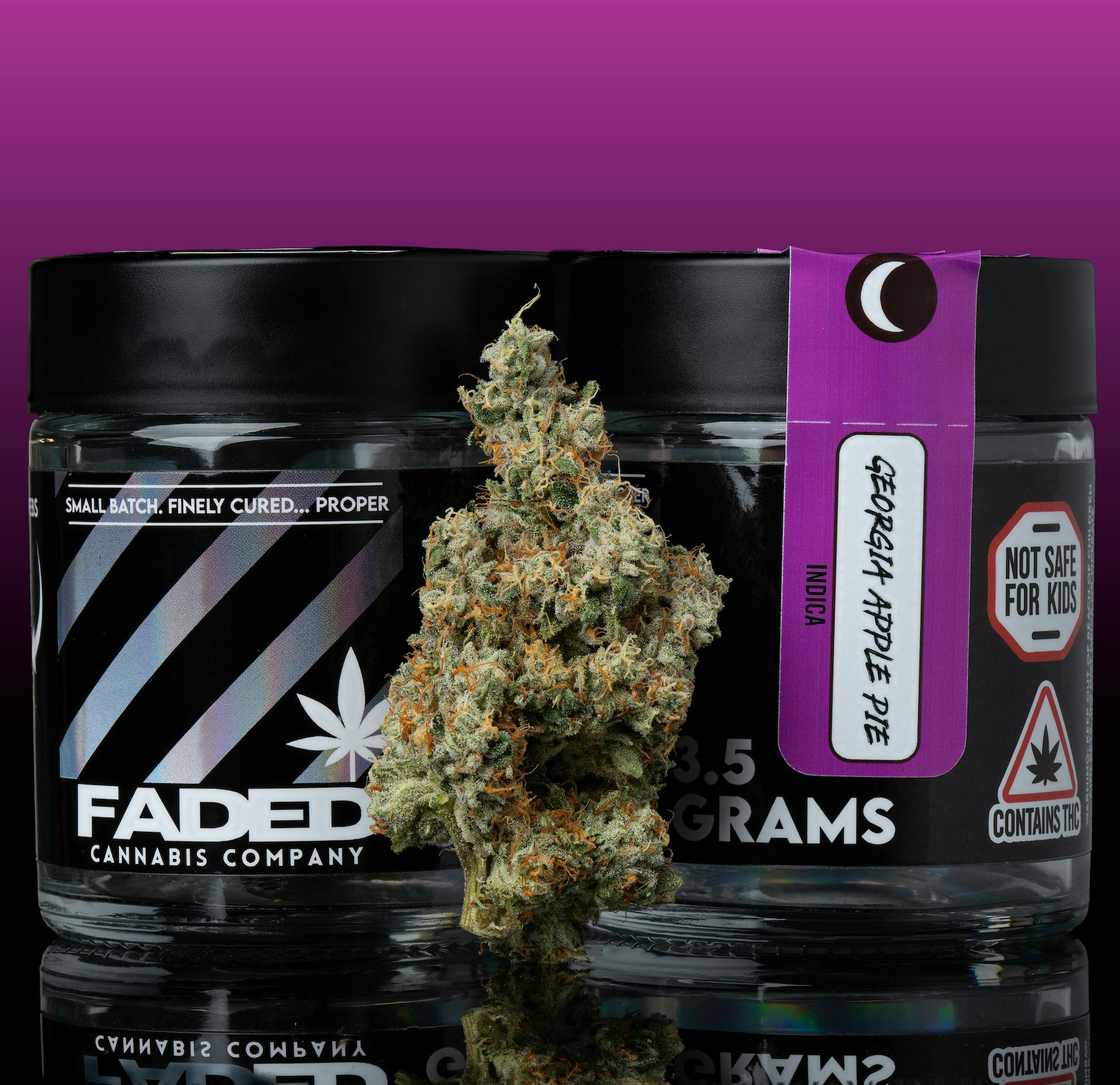 Georgia Apple Pie - ( Lumpy's Apple Fritter x Georgia Pie ) by Faded Cannabis Company