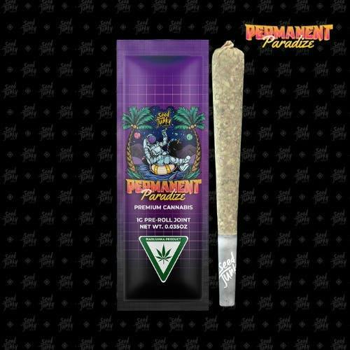 Permanent Paradize